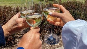 Zwei Personen stoßen mit Weingläsern an, ein Picknicktisch und ein schöner Ausblick auf ein Feld und den Himmel.