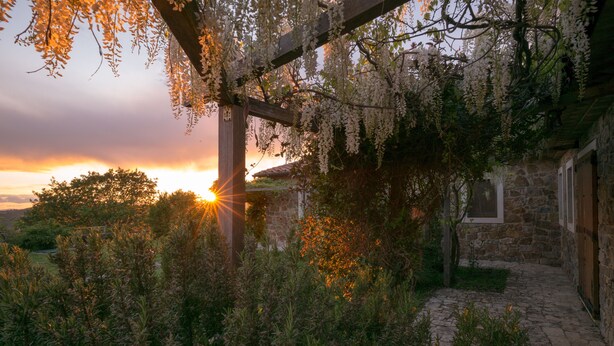 A stone building with a wooden pergola covered in flowering vines. - Tuscan Stone Farmhouse for 16 guests, amazing view, vineyards and olive trees (Manciano)