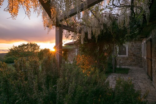Ferme en pierre toscane pour 20 personnes, vue imprenable, vignobles et oliviers