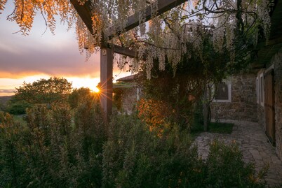 Tuscan Stone Farmhouse for 16 guests, amazing view, vineyards and olive trees