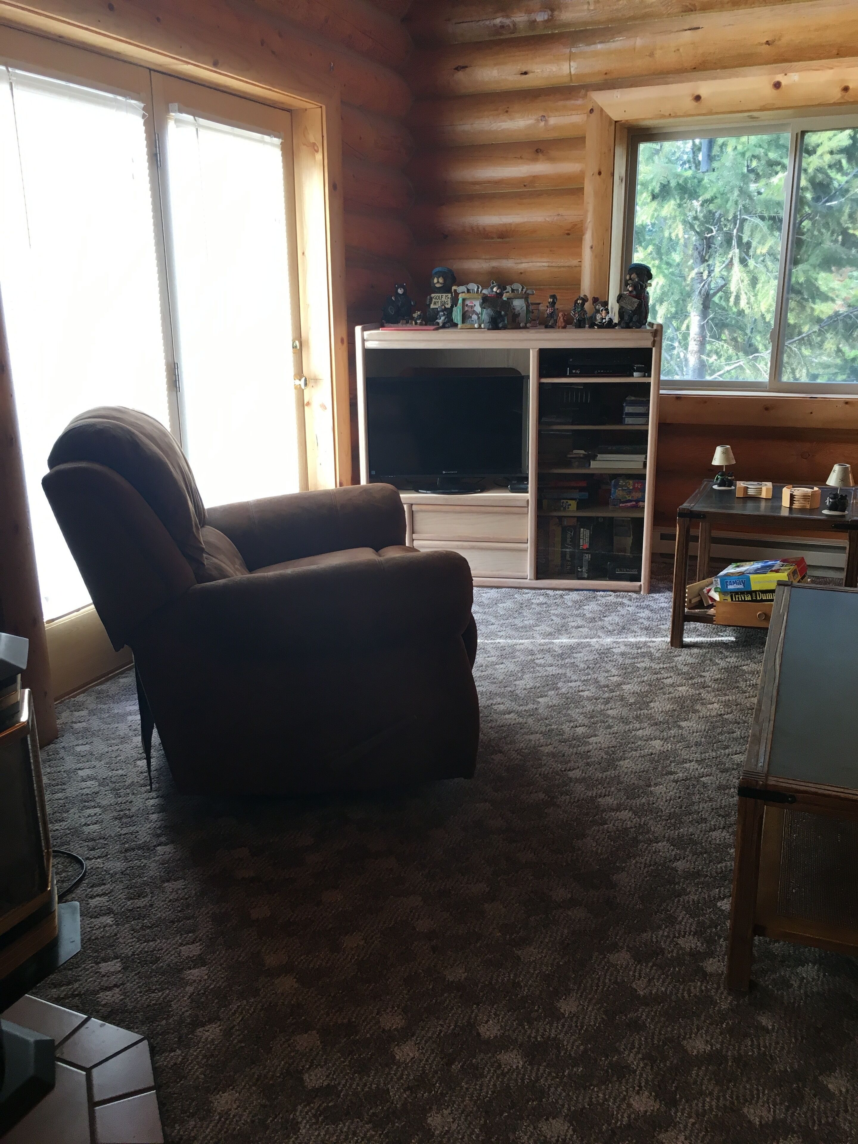 Smart TV, fireplace, video games, DVD player