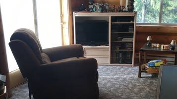 Smart TV, fireplace, video games, DVD player