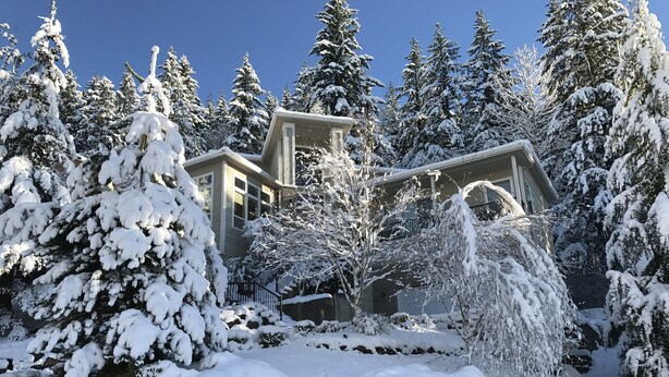 Un paysage enneigé avec une maison entourée d’arbres.