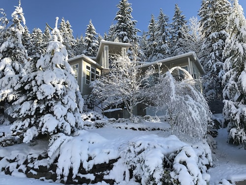 Luxury Smart System Enabled Home on the Hill with Beautiful View