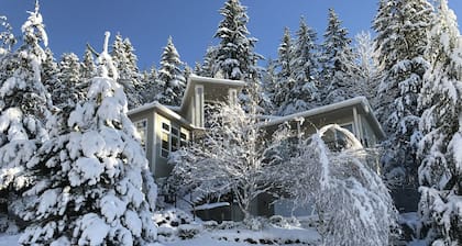 Luxury Smart System Enabled Home on the Hill with Beautiful View