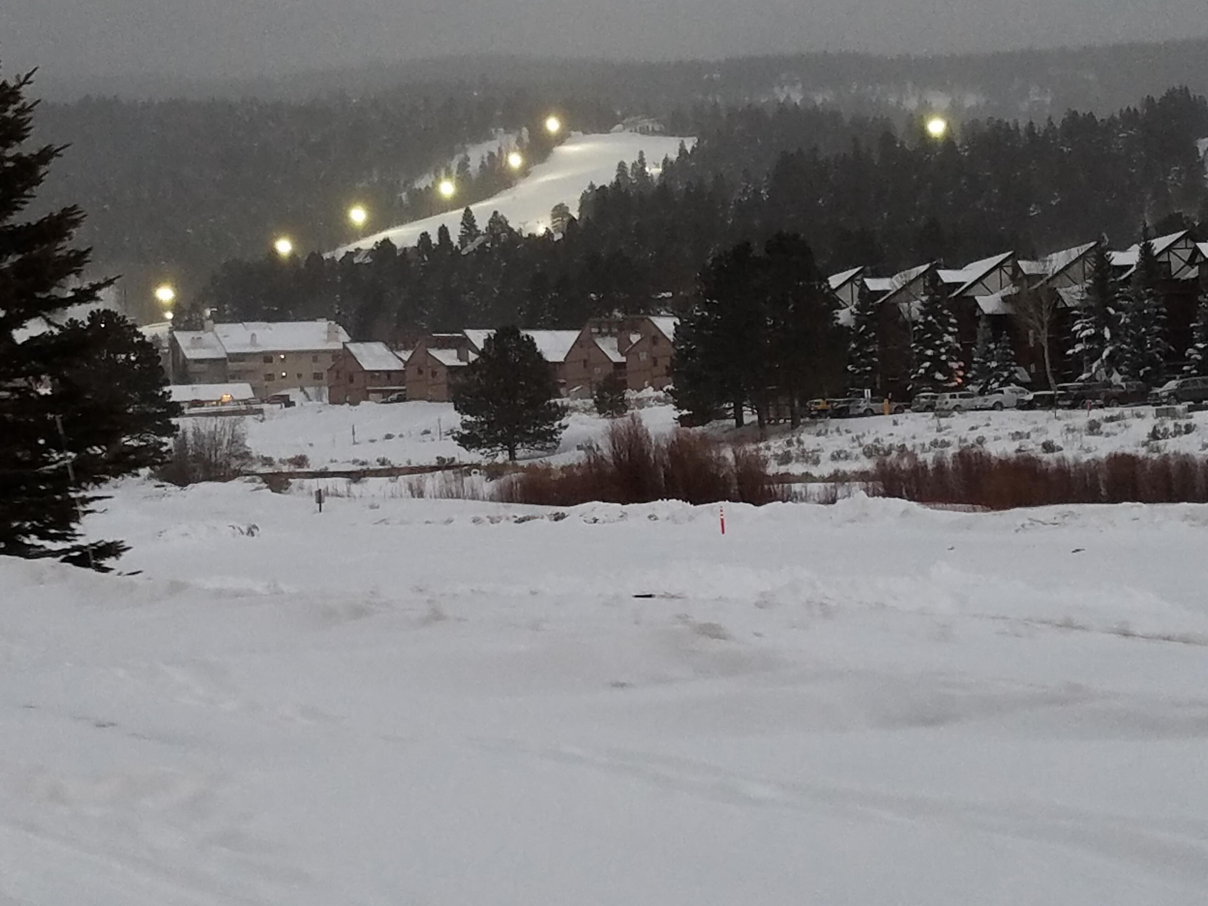Snø- og skisport