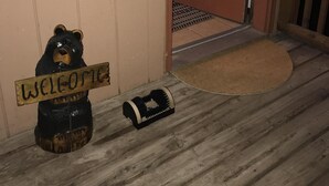 Immagine non classificata, 5 di 35, pulsante