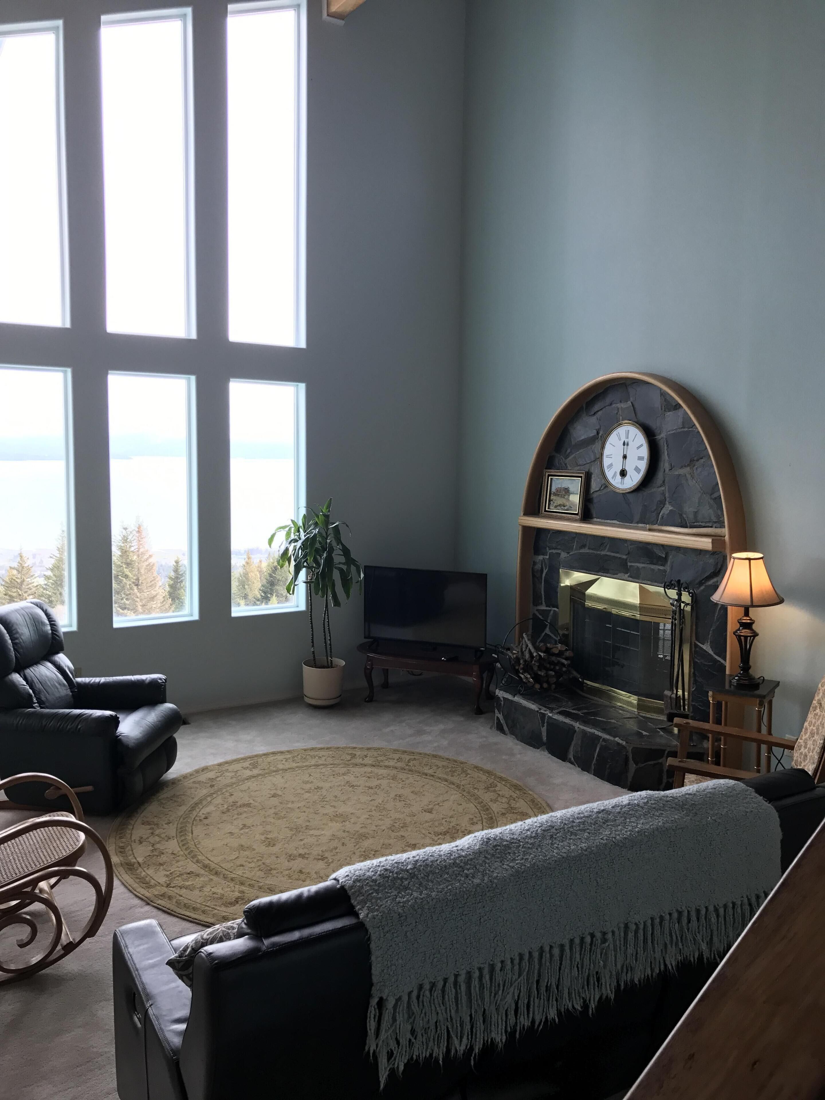 智能電視、DVD 播放機、書籍