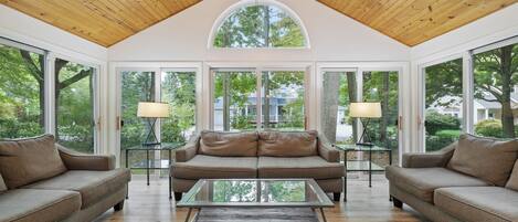 Televisor intel·ligent, llar de foc, reproductor de DVD i oficines