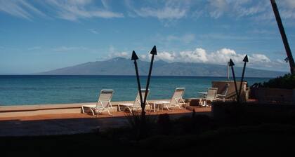Awesome Maui Oceanfront! Spectacular sunsets! 1Bed/1Bath of Hawaiiana