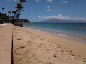Enjoy a serene beach scene with palm trees and a mountain backdrop.