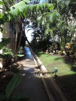 Stroll through the lush garden, surrounded by banana trees and palm fronds, and enjoy a tranquil atmosphere.