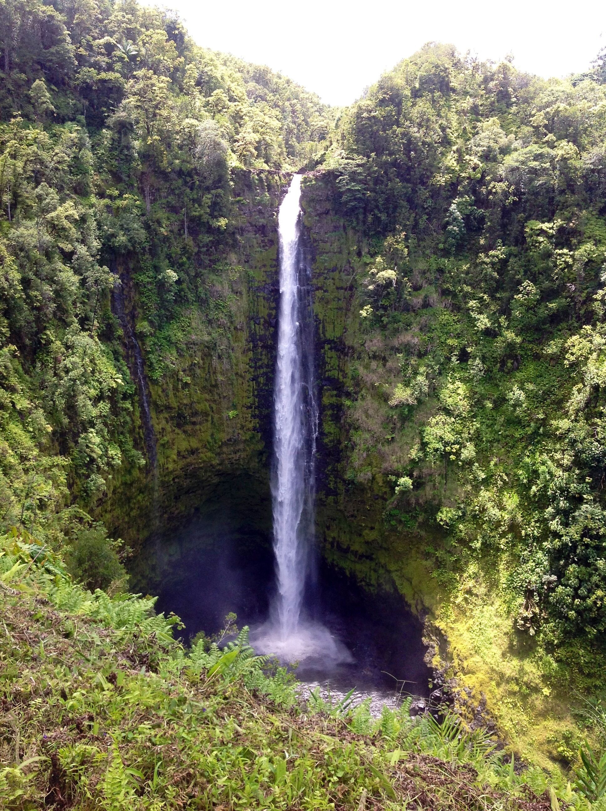 Een waterval omringd door dicht bos.