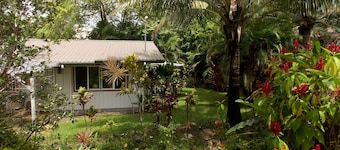 Five Star Rating Betaalbare Rainforest Retreat