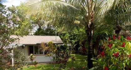 Cinq Ă©toiles de retraite abordable dans la forĂȘt tropicale
