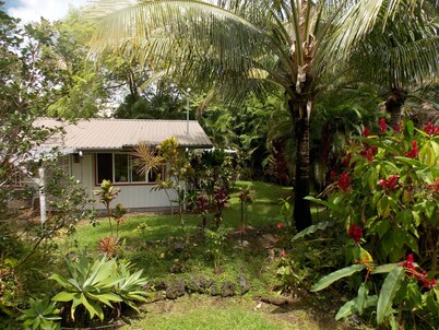   Top Five Rated Vacation Rental In Pahoa , Discounted Rates in November!