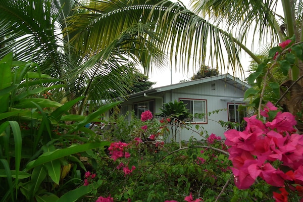 DĂ©tail de lâextĂ©rieur