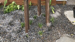 Três esculturas de madeira rústica em uma área de jardim com pedrisco e plantas.