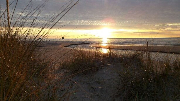 A beach scene with tall grasses in the foreground and the sun setting on the horizon.
