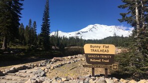 Skiltemarkering for stien Bunny Flat Trailhead i Shasta-Trinity National Forest, med et sneklædt bjerg i baggrunden.