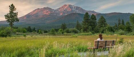 Overnatningsstedets område