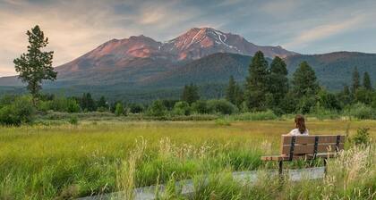 Shasta Serenity A cozy cottage in Downtown Mt Shasta