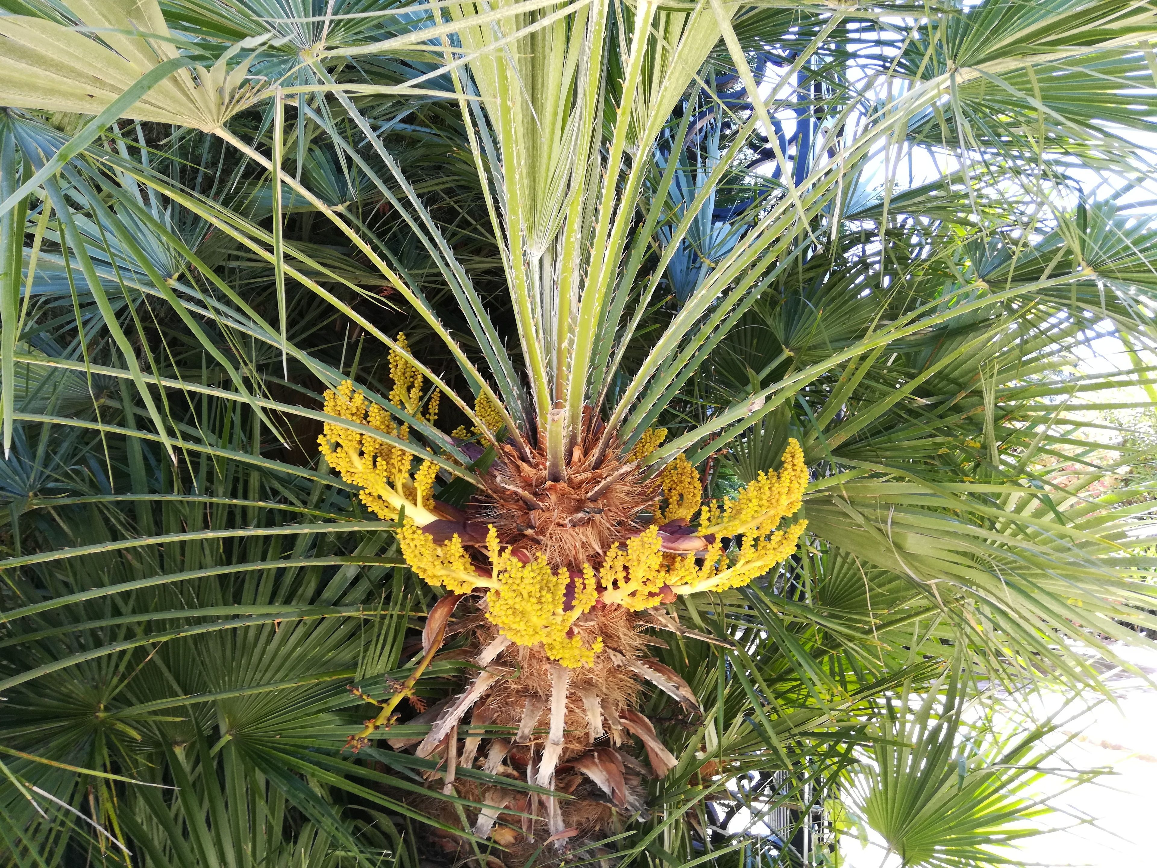 Foto - Villa Angel - SPA