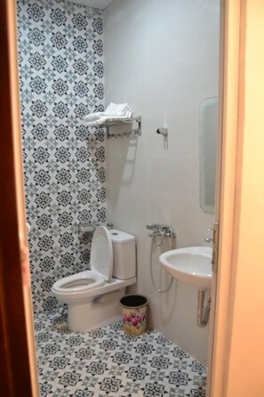 Shower, free toiletries, hair dryer, slippers