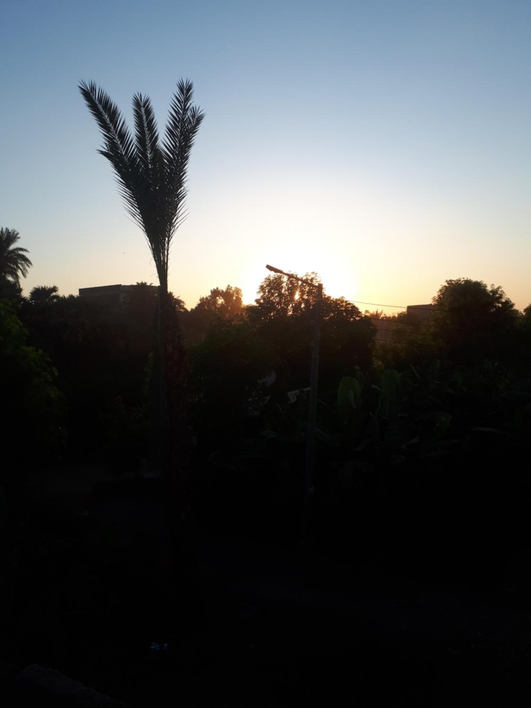 Foto - Al Baeirat Hotel