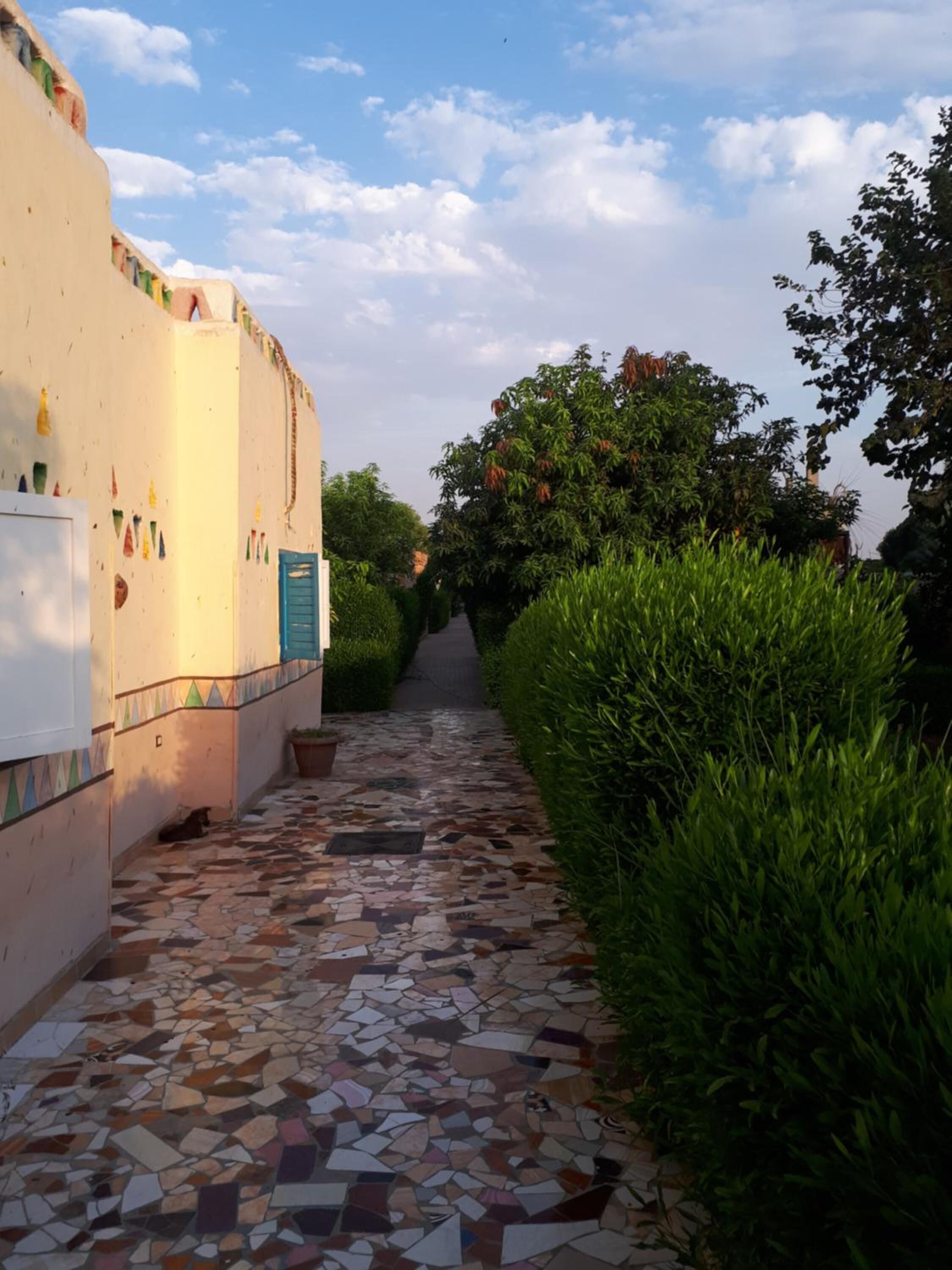 A narrow pathway with a mosaic tile floor, flanked by neatly trimmed hedges and a building with colorful decorations.