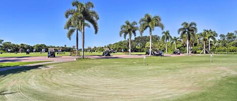 A golf course with well-maintained grass, palm trees, and a clear blue sky.