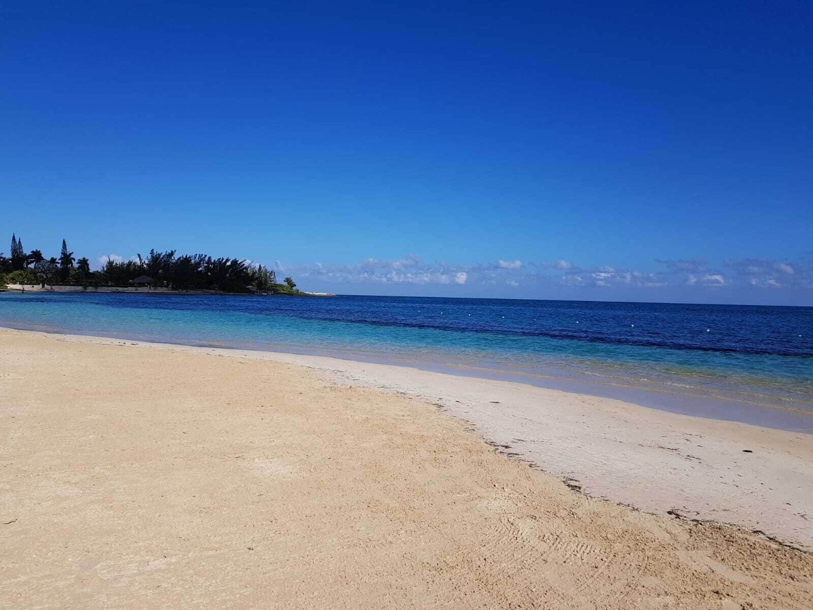 بالقرب من الشاطئ، كراسي للتشمس