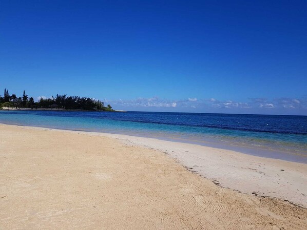 Playa en los alrededores y camastros 