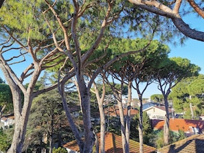 A residential area with tall trees and houses with red-tiled roofs. - Hotel Bellini (Riccione)