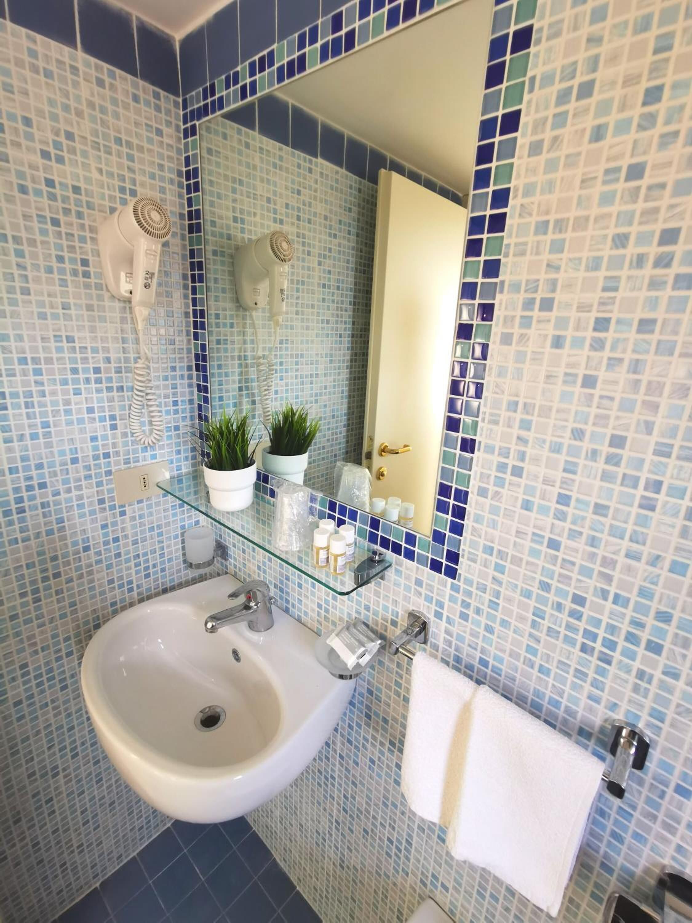 shower, free toiletries, hair dryer, bidet