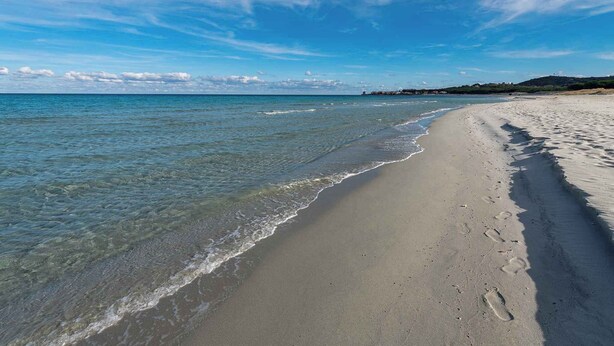 A beach with clear water, a sandy shore, and a distant shoreline with buildings. - Holiday apartment surrounded by nature (Siniscola)