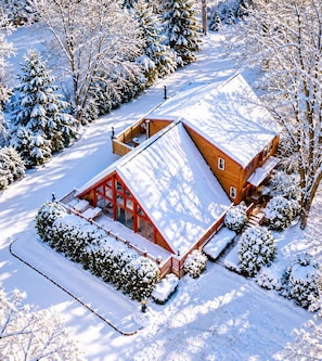 Una casa cubierta de nieve con techo rojo y fachada de vidrio, rodeada de árboles cargados de nieve.