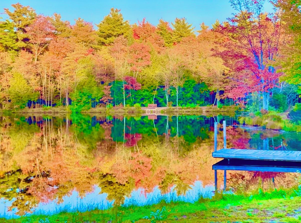 A tranquil lake with a dock and trees reflecting in the water.