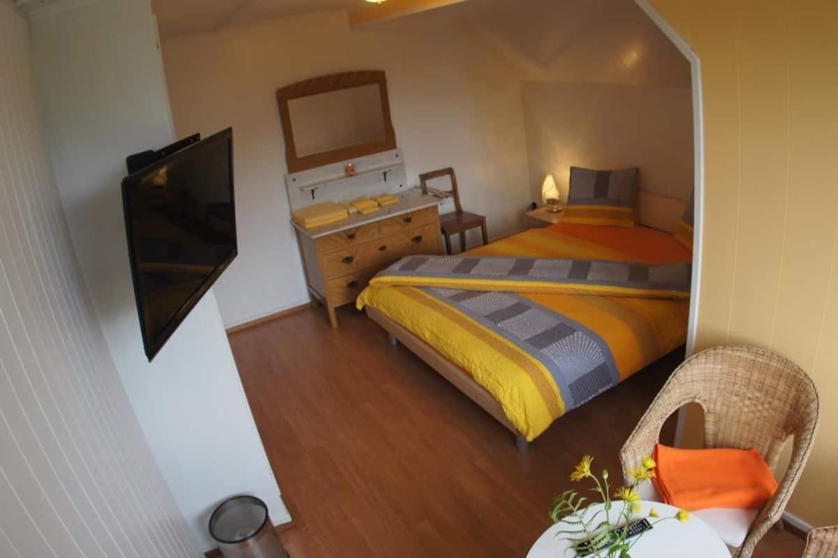 A bedroom with a bed, a dresser, a television, and a chair.