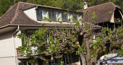 Pension Schönörtli