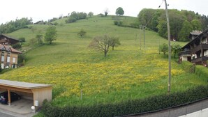 A hillside with a field of yellow flowers, a wooden building, and a residential area with houses. - Pension Schönörtli (Sigriswil)