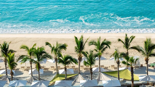 Una playa con sombrillas blancas y palmeras.