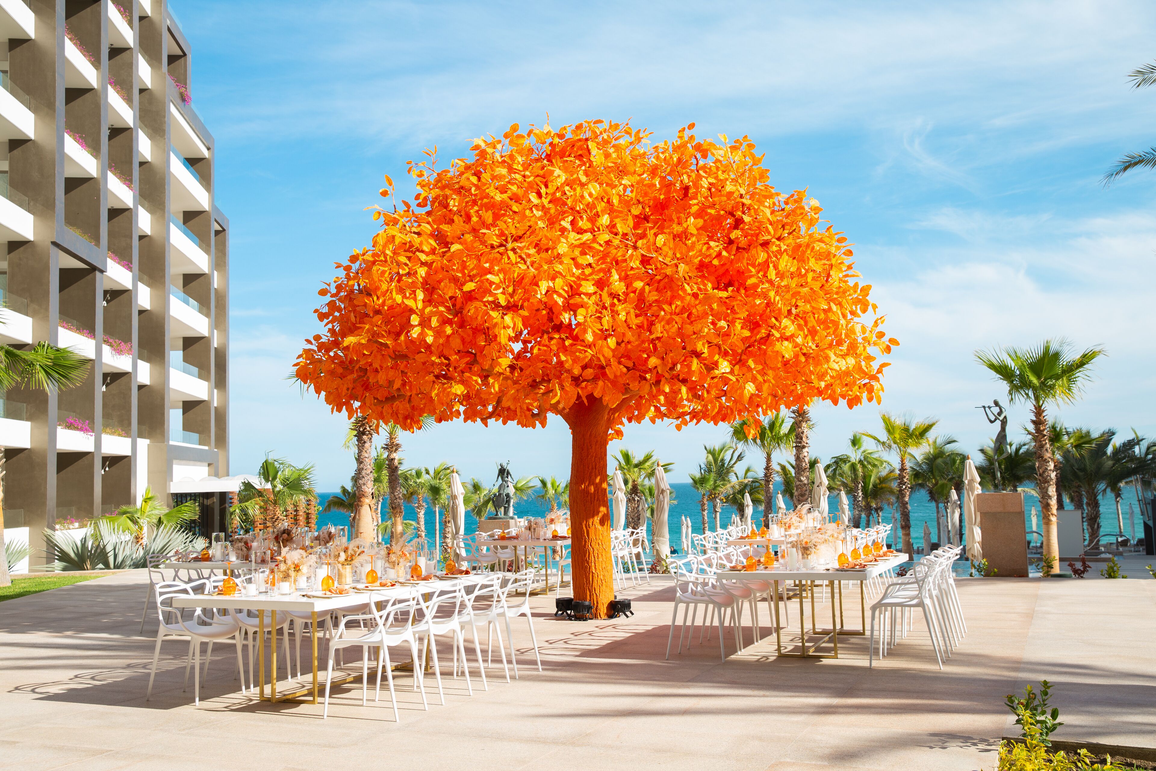 An outdoor dining area with tables and chairs, a large tree with orange leaves, and a building in the background.
