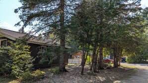 Un chalet rustique aux murs en bois, entouré d’une forêt dense et bordé d’un chemin de gravier.
