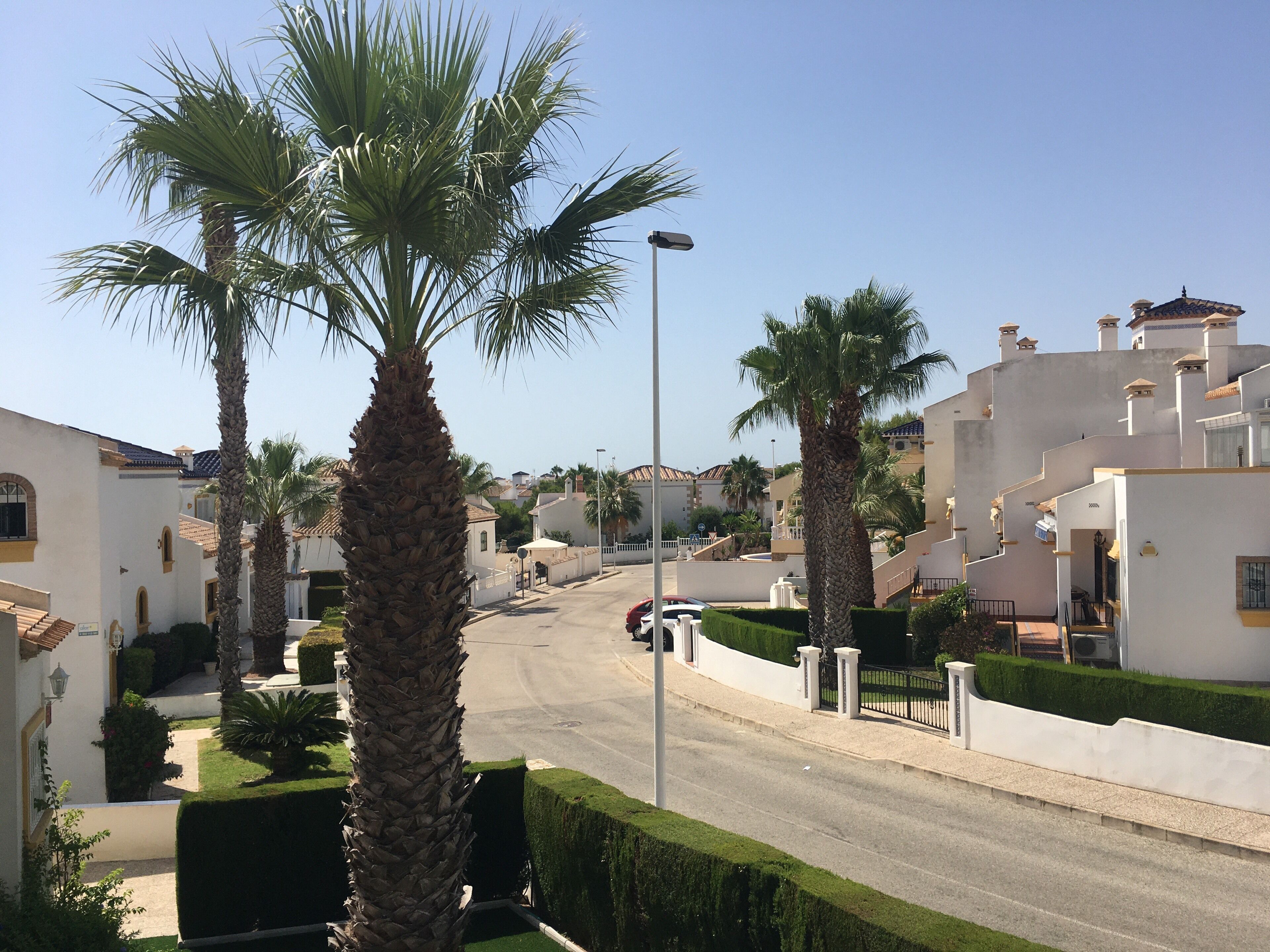 A residential street with palm trees, white houses, and a clear sky.