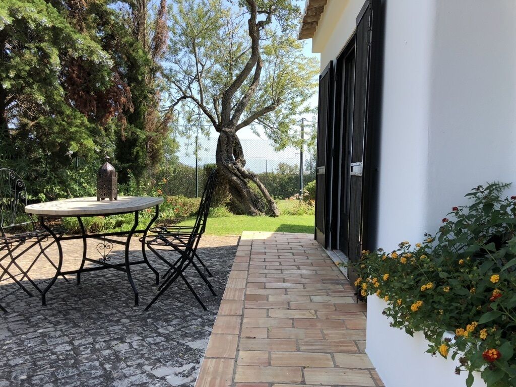A patio with a round table and chairs, a stone pathway, and a large tree.