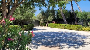 Une allée pavée mène à un bâtiment bordé d’une haie et d’arbres bien entretenus.