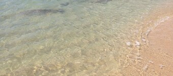 OCEAN VIEW VILLA WITH PRIVATE POOL, STEPS FROM SECLUDED BEACH, GATED COMMUNITY!