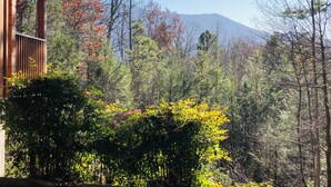 A cabin with a wooden exterior and a view of a forested mountain range.