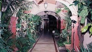 A narrow corridor with a tiled floor, surrounded by lush green plants and a brick wall. - Hotel Sierra Gorda (Ciudad Victoria)